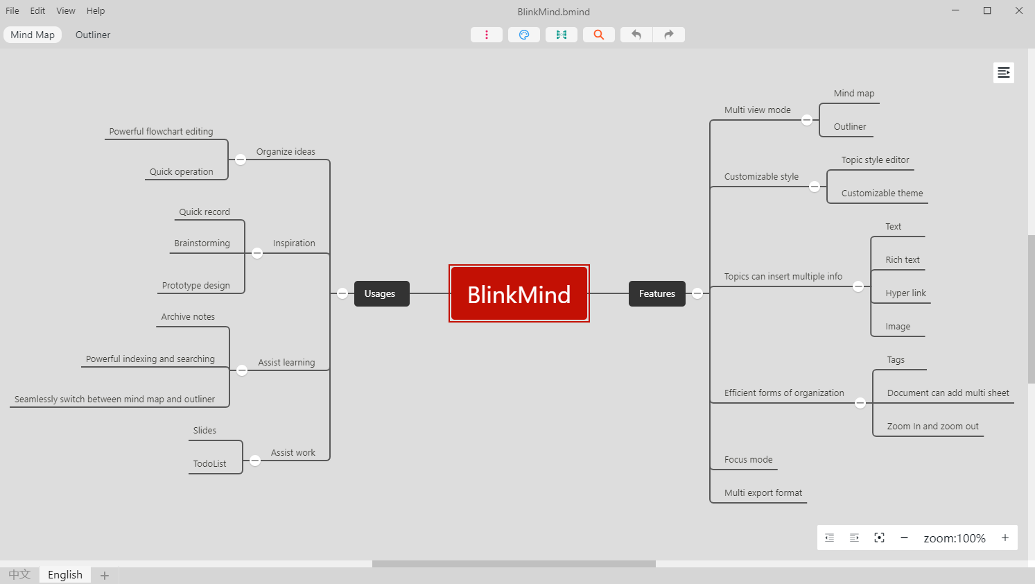 blinkmindmindmaplightpng