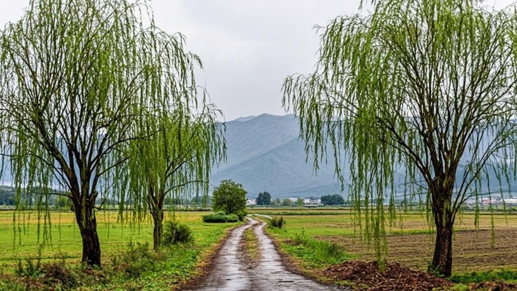 the Chinese Qingming Festival Youth League and the weeping willow symbol are endless